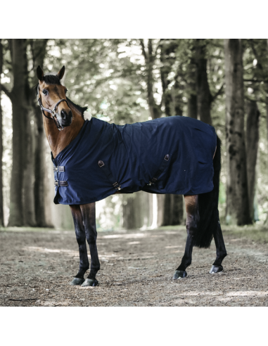 Chemise coton Kentucky