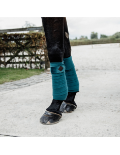 Bandes de polo VELVET Kentucky 2