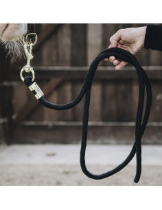 Longe BASIC Kentucky