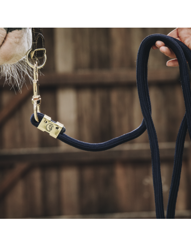 Longe BASIC Kentucky