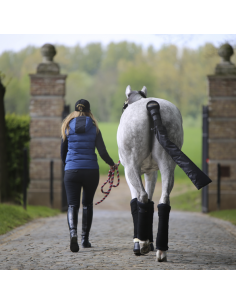Bandes de polo VELVET Kentucky