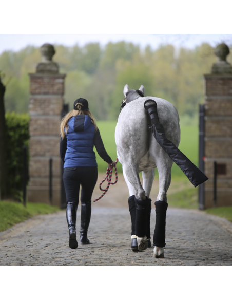 Bandes de polo VELVET Kentucky