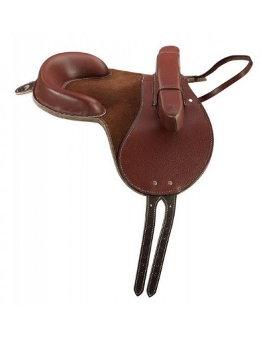 Bardette LUXE Norton Club