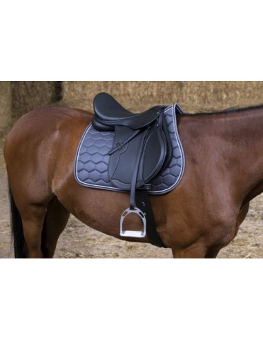 Selle mixte REXINE EVOL Norton Club