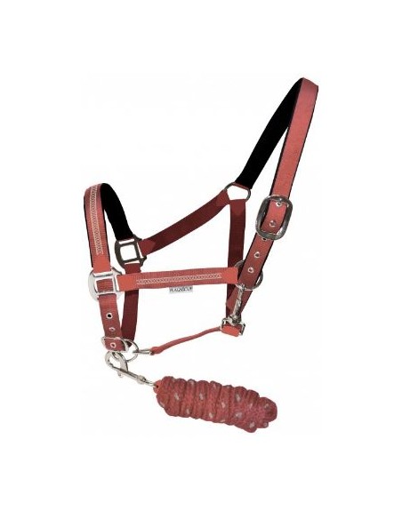 Set Licol & Longe COLCA Privilège Equitation