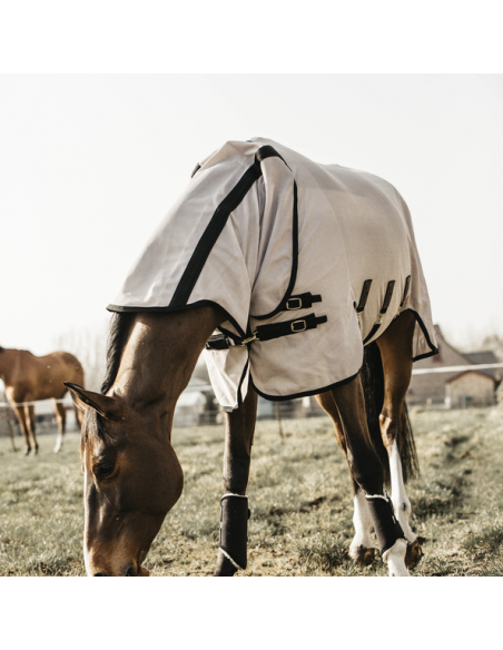 Chemise anti-mouche Kentucky