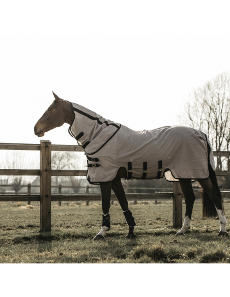 Chemise anti-mouche Kentucky