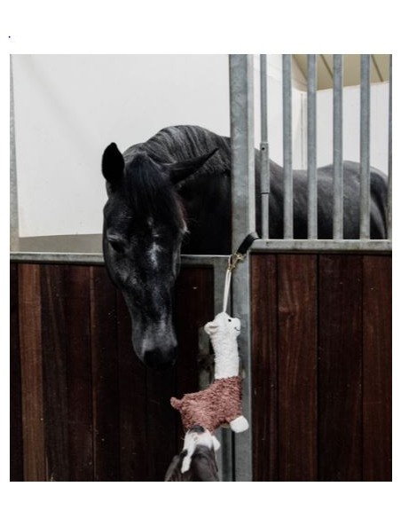 Jouet ALPAGA Kentucky-PA