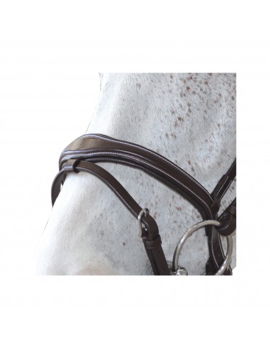 Bridon ORNELLA Canter