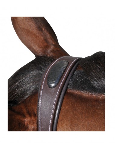 Bridon DOHA Flags&Cup