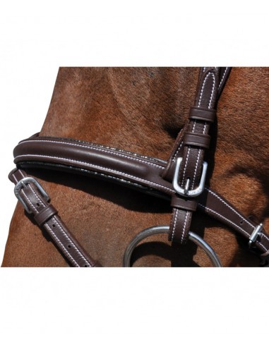 Bridon DOHA Flags&Cup