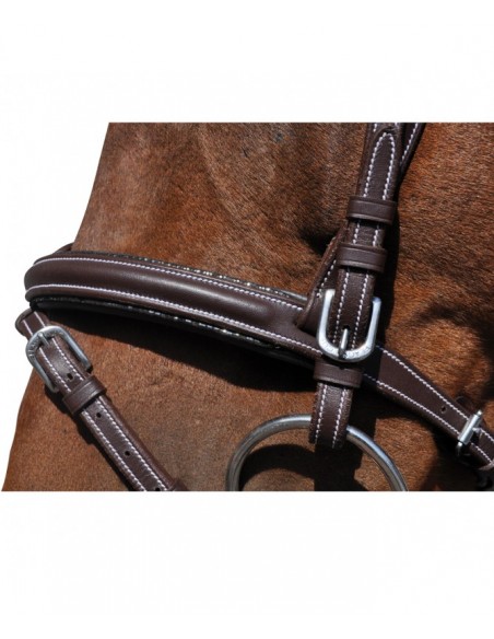 Bridon DOHA Flags&Cup