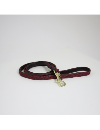 Laisse pour chien TRESSE Kentucky - 1,2 mètres