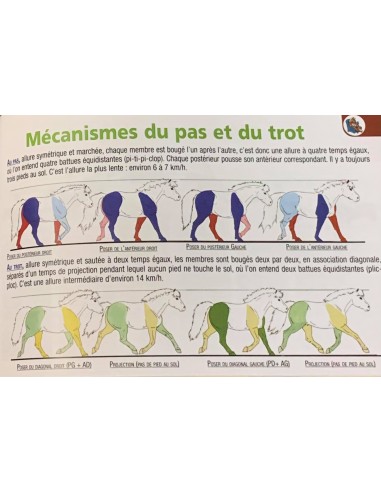 Manuel CAVALIER G3 Lavauzelle