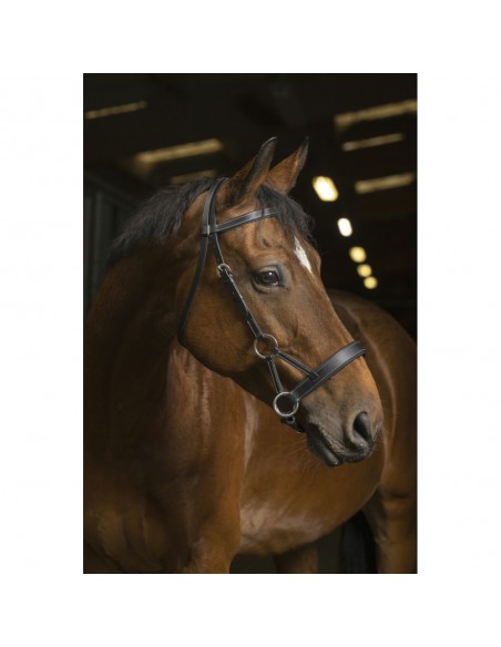 Bridon Side-pull Norton Pro