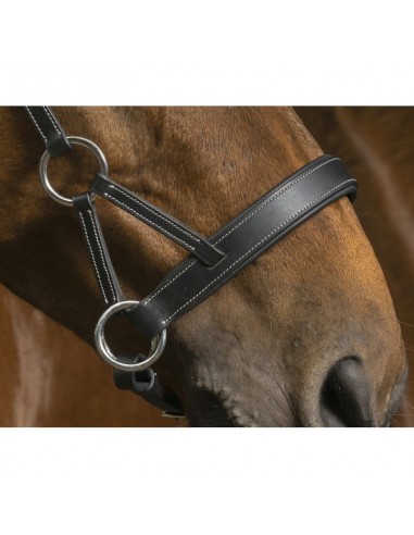 Bridon Side-pull Norton Pro