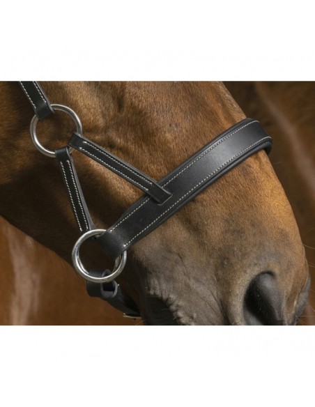 Bridon Side-pull Norton Pro