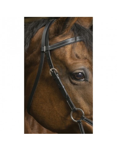 Bridon Side-pull Norton Pro
