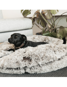 Panier pour chien BEIGNET Kentucky