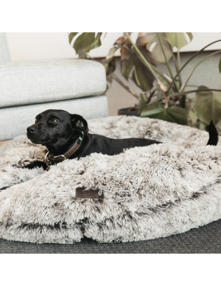 Panier pour chien BEIGNET Kentucky