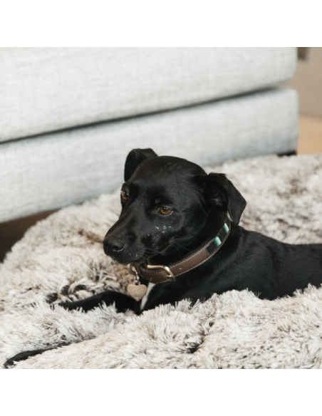 Panier pour chien BEIGNET Kentucky