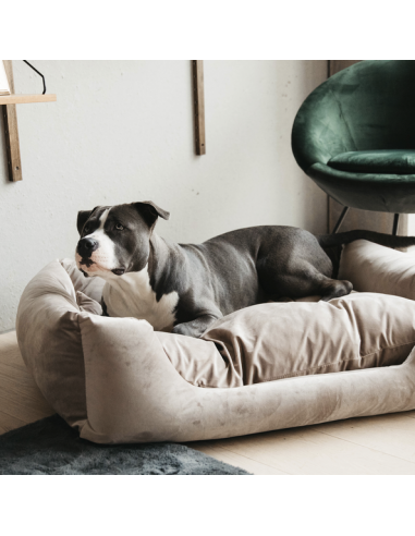 Panier pour chien VELVET Kentucky