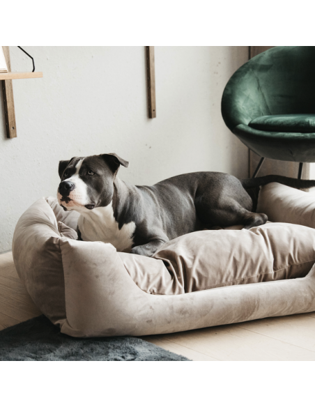 Panier pour chien VELVET Kentucky