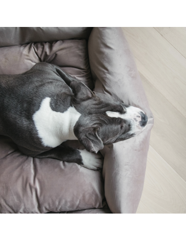 Panier pour chien VELVET Kentucky