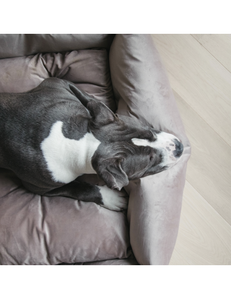 Panier pour chien VELVET Kentucky