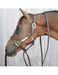 Longe de présentation Cuir Kentucky