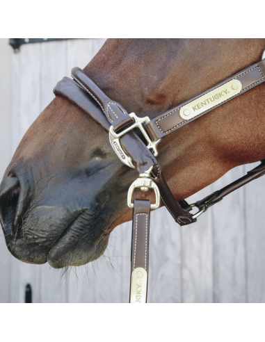 Longe de présentation Cuir Kentucky