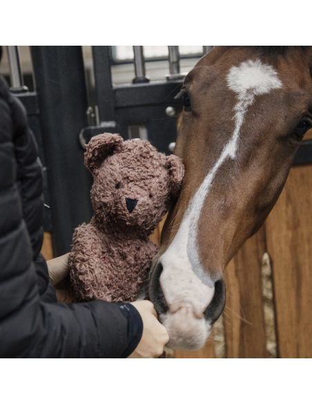 Jouet Relaxant OURSON Kentucky