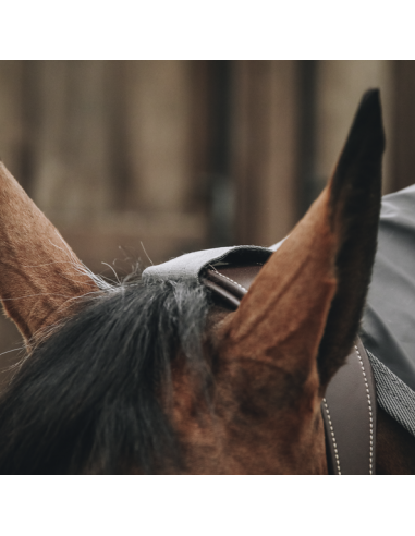 Imperméable pour cheval HURRICANE Kentucky