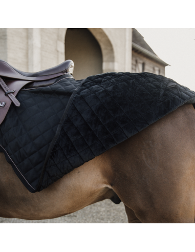 Couvre-Reins 160 GRAMMES Kentucky