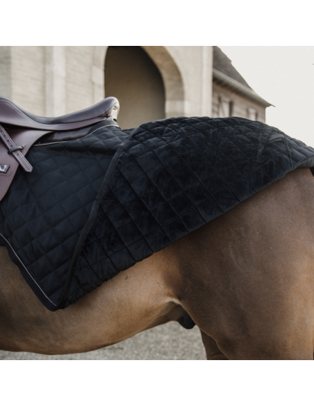 Couvre-Reins 160 GRAMMES Kentucky