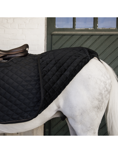 Couvre-Reins Dressage 160 GRAMMES Kentucky