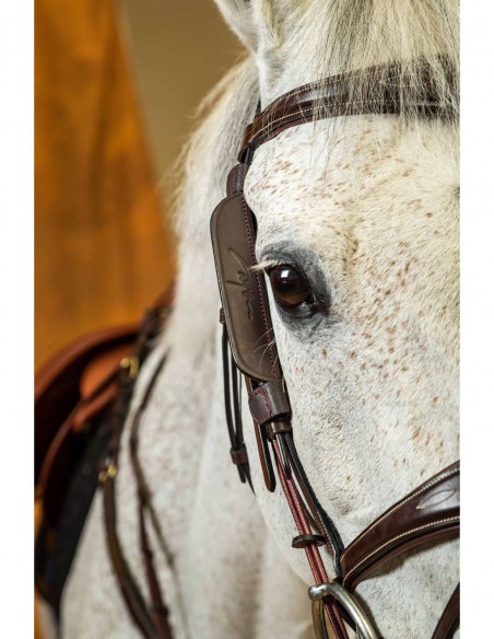 Oeilléres FOCUS English Collection Dyon