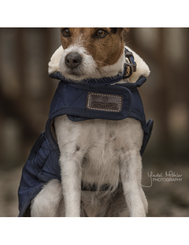Manteau pour chien ORIGINAL Kentucky