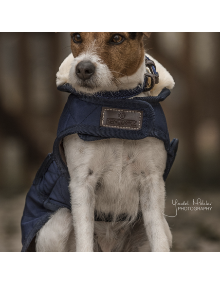 Manteau pour chien ORIGINAL Kentucky