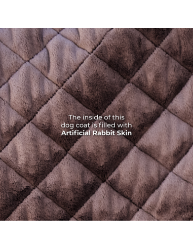 Manteau pour chien ORIGINAL Kentucky