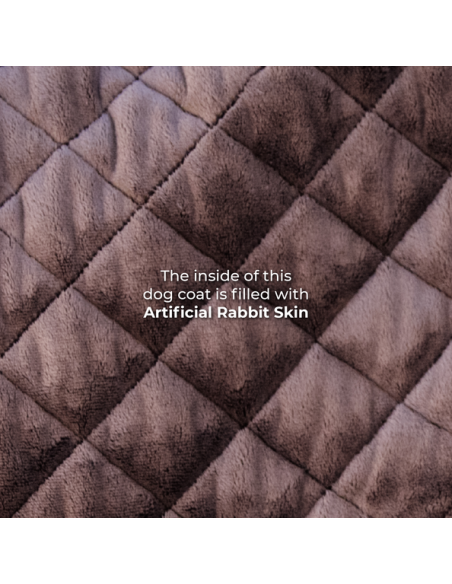 Manteau pour chien ORIGINAL Kentucky