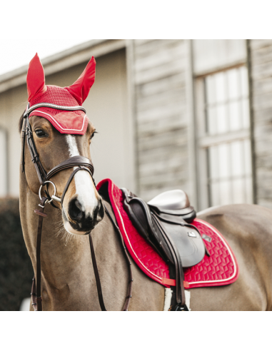 Bonnet WELLINGTON VELVET Kentucky