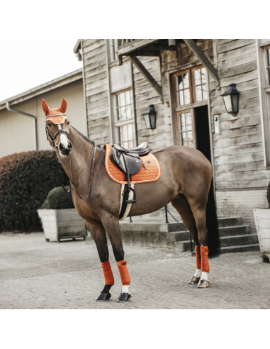 Bonnet WELLINGTON VELVET Kentucky