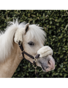 Licol Mini SHEEPSKIN Kentucky