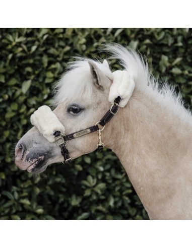 Licol Mini SHEEPSKIN Kentucky