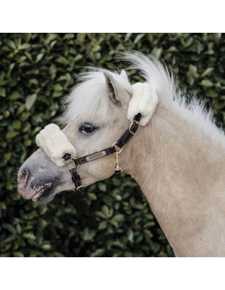Licol Mini SHEEPSKIN Kentucky