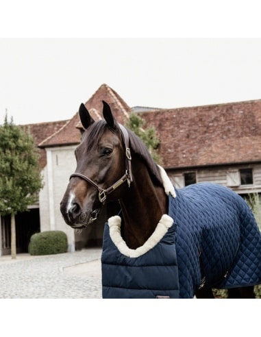 Extension de poitrail HIVER Kentucky