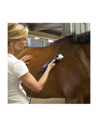 Tondeuse Chevaux Xperience HEINIGER