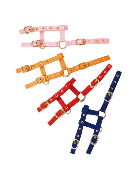 Licol Nylon MINI réglable Ekkia