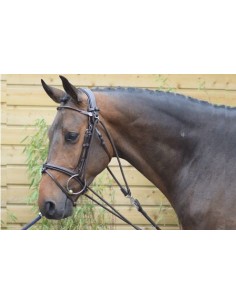 Gogue WEEK élastique corde/cuir Jumpin